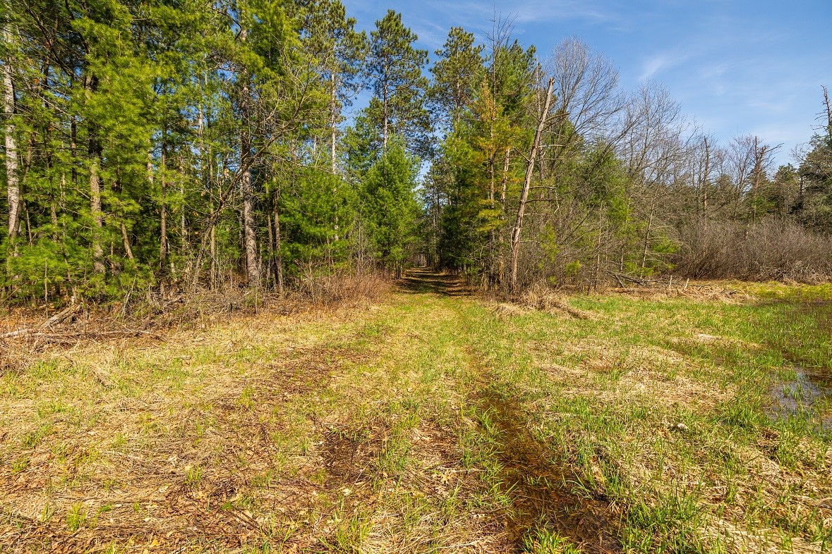 Land at 0 Prairie Road, Osseo, WI 54758 — photo 15