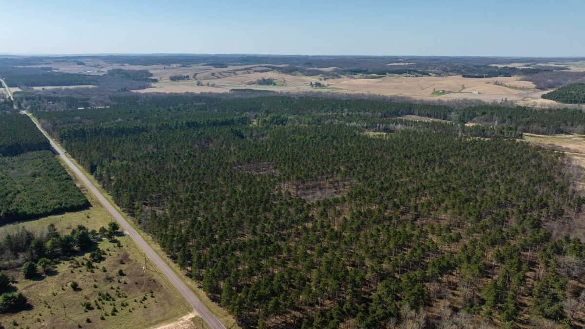 Land at 0 Prairie Road, Osseo, WI 54758 — photo 16