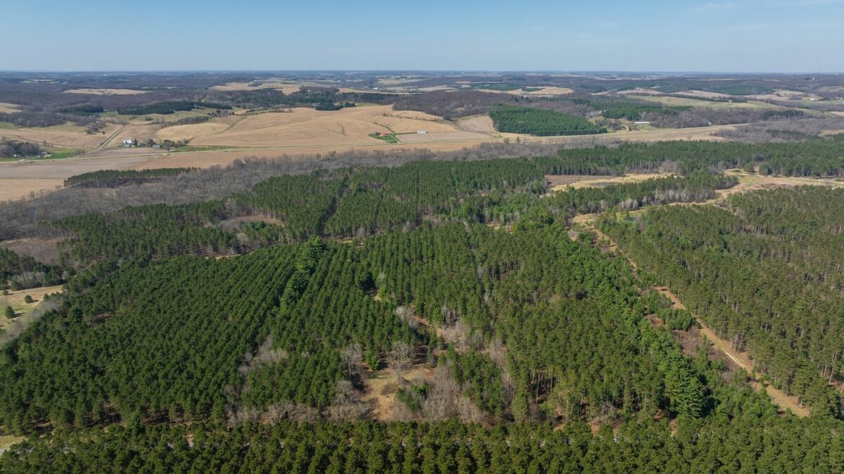 Land at 0 Prairie Road, Osseo, WI 54758 — photo 16