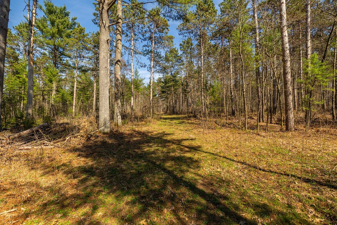 Land at 0 Prairie Road, Osseo, WI 54758 — photo 16