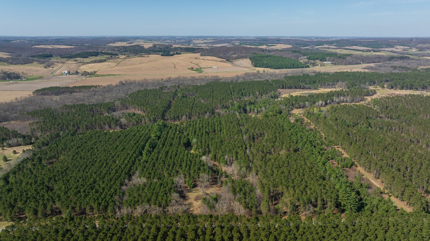 Land at 0 Prairie Road, Osseo, WI 54758 — photo 16