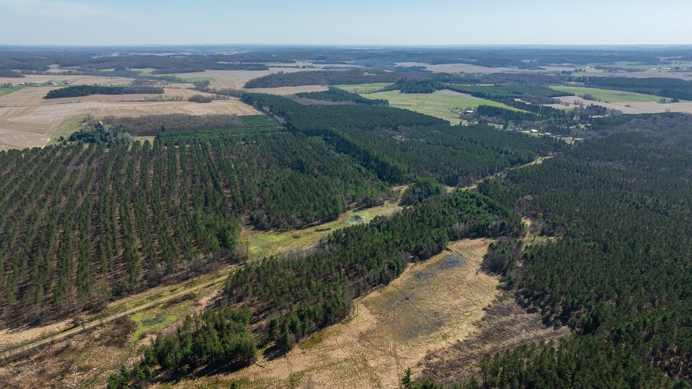 Land at 0 Prairie Road, Osseo, WI 54758 — photo 17