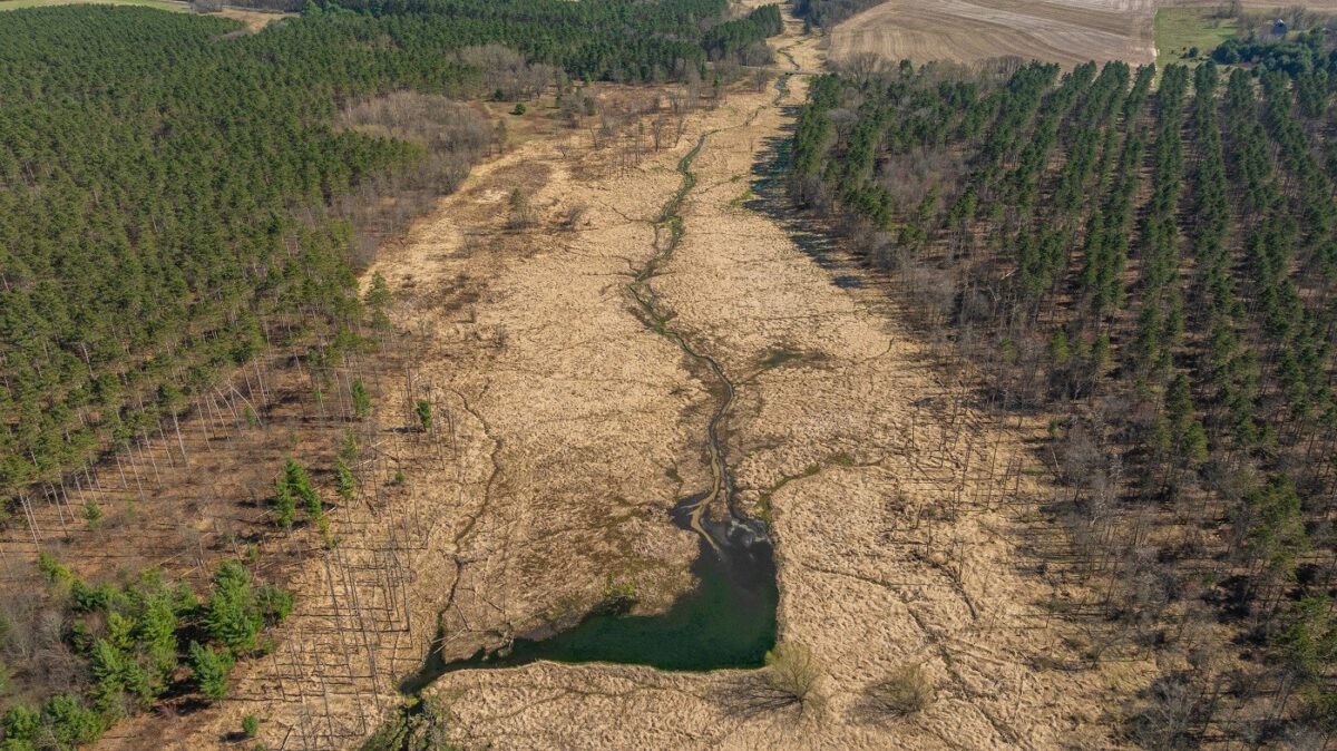 Land at 0 Prairie Road, Osseo, WI 54758 — photo 18