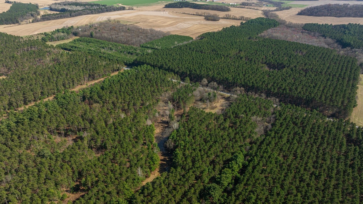 Land at 0 Prairie Road, Osseo, WI 54758 — photo 18