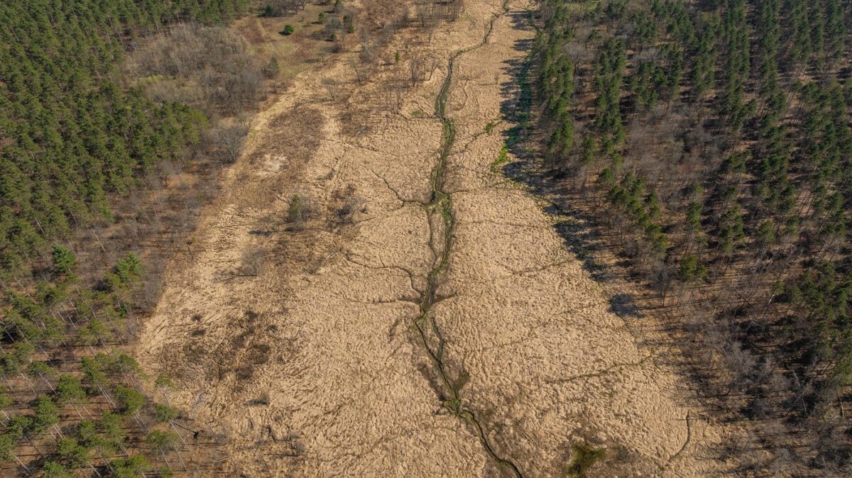 Land at 0 Prairie Road, Osseo, WI 54758 — photo 20