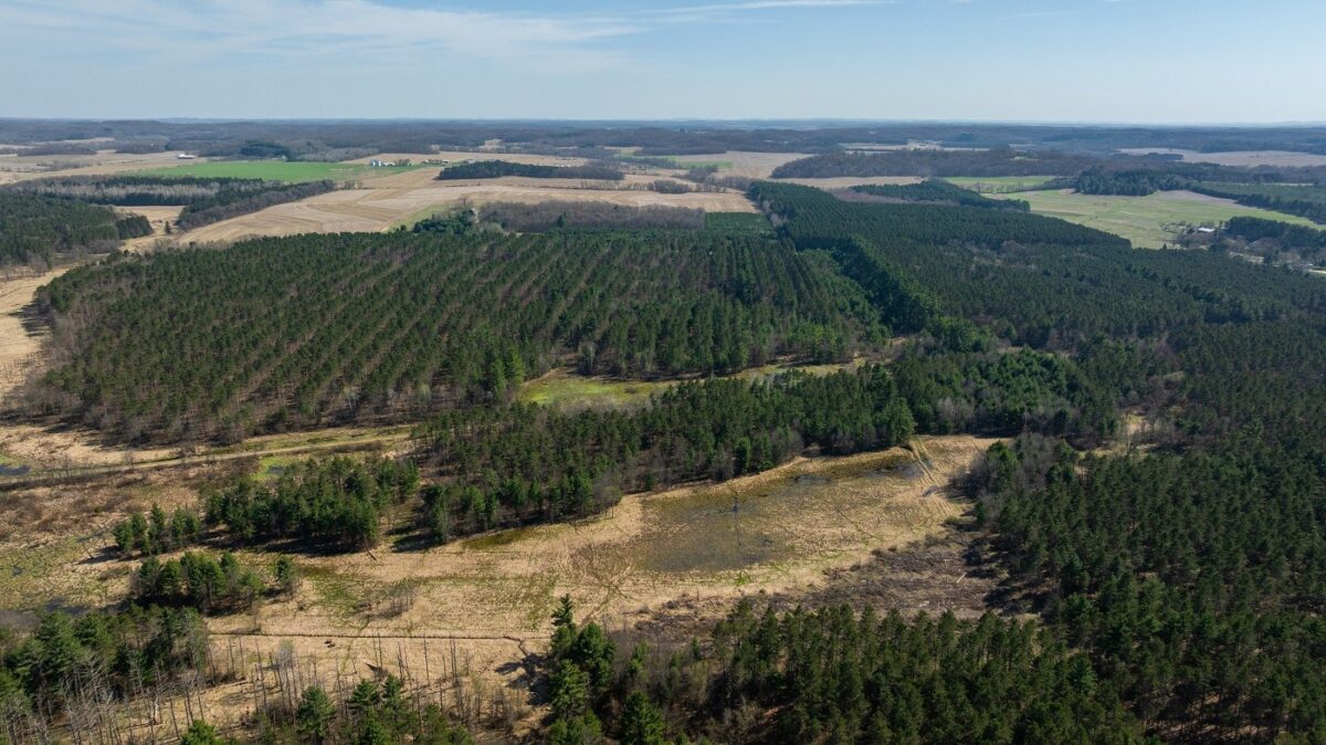 Land at 0 Prairie Road, Osseo, WI 54758 — photo 20