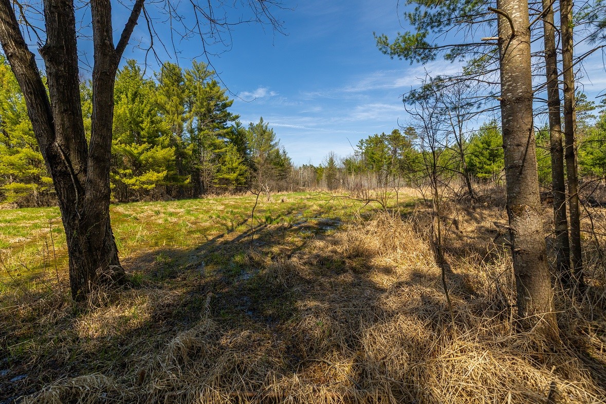 Land at 0 Prairie Road, Osseo, WI 54758 — photo 20
