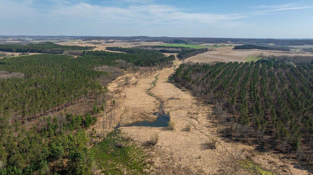 Land at 0 Prairie Road, Osseo, WI 54758 — photo 3