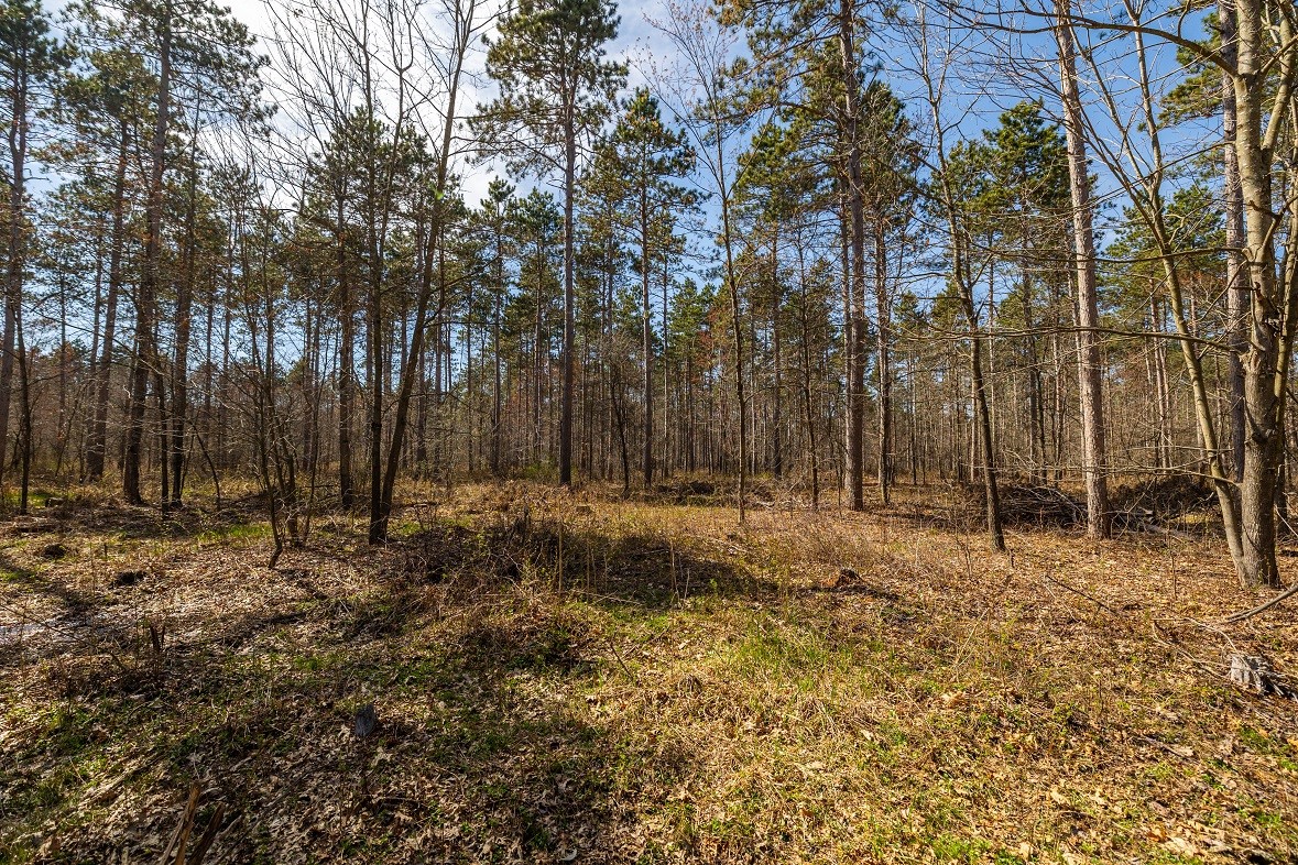 Land at 0 Prairie Road, Osseo, WI 54758 — photo 21