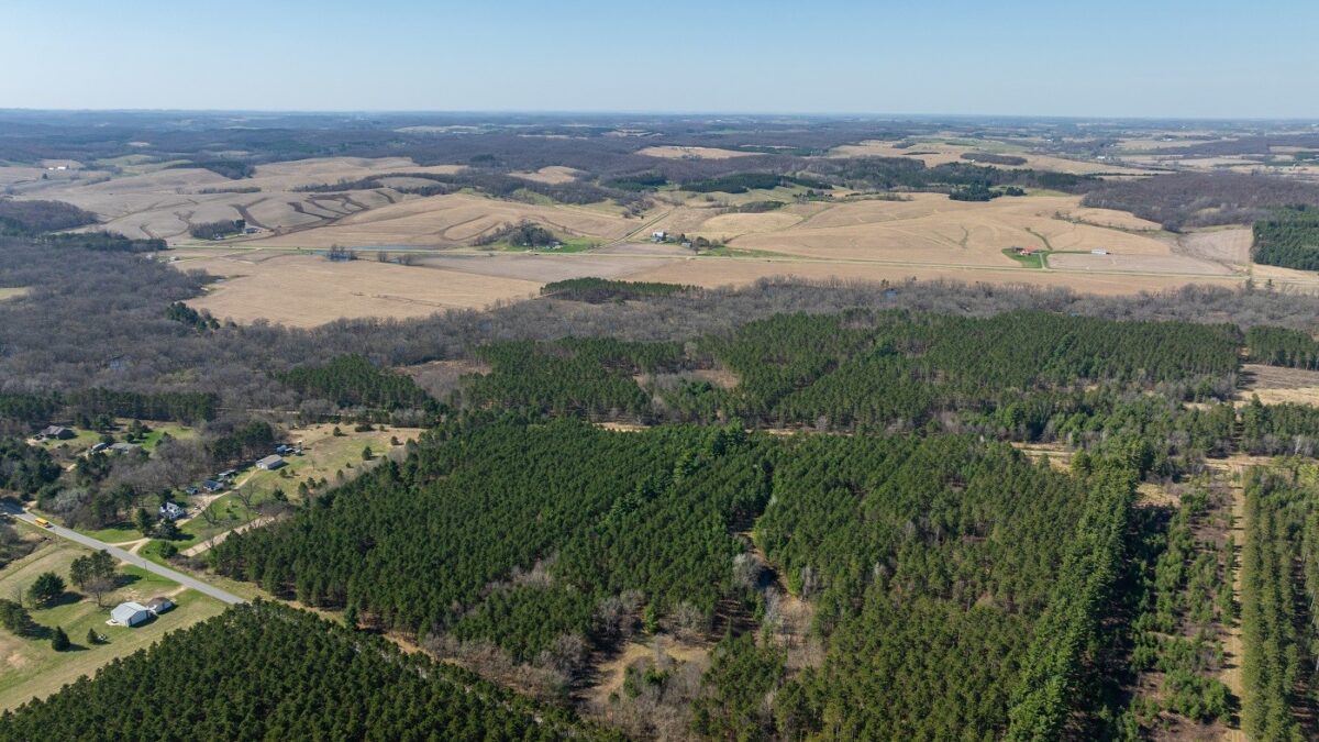 Land at 0 Prairie Road, Osseo, WI 54758 — photo 21