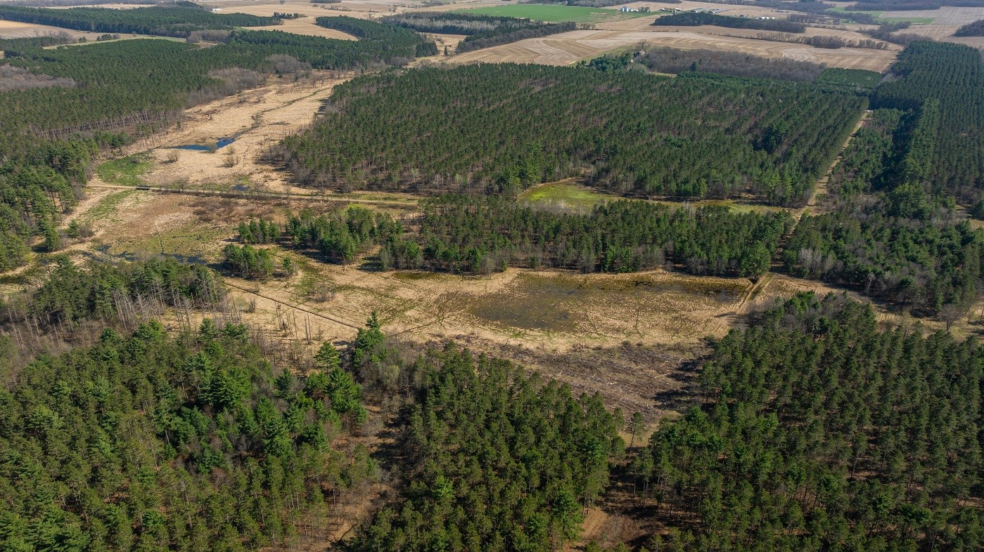 Land at 0 Prairie Road, Osseo, WI 54758 — photo 22