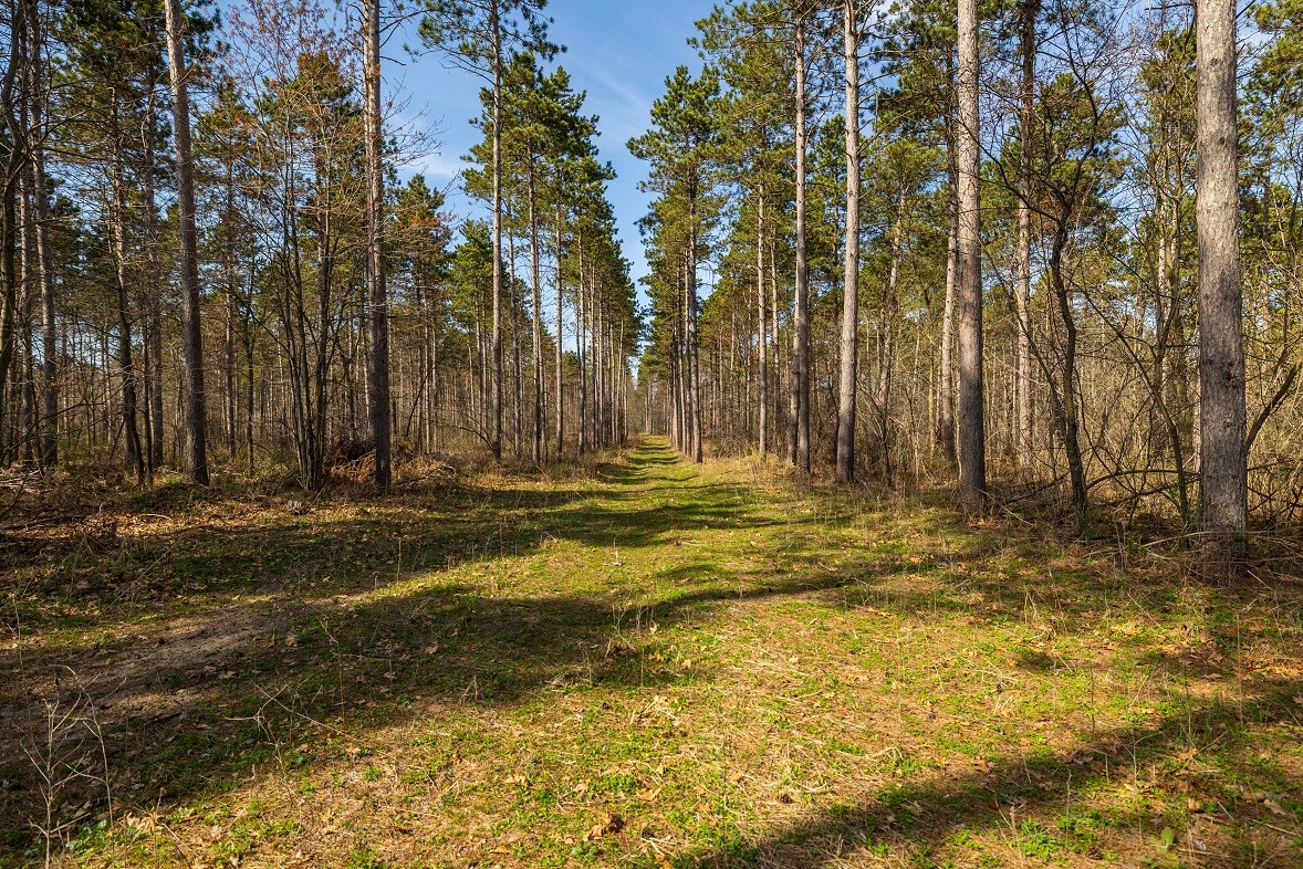 Land at 0 Prairie Road, Osseo, WI 54758 — photo 23