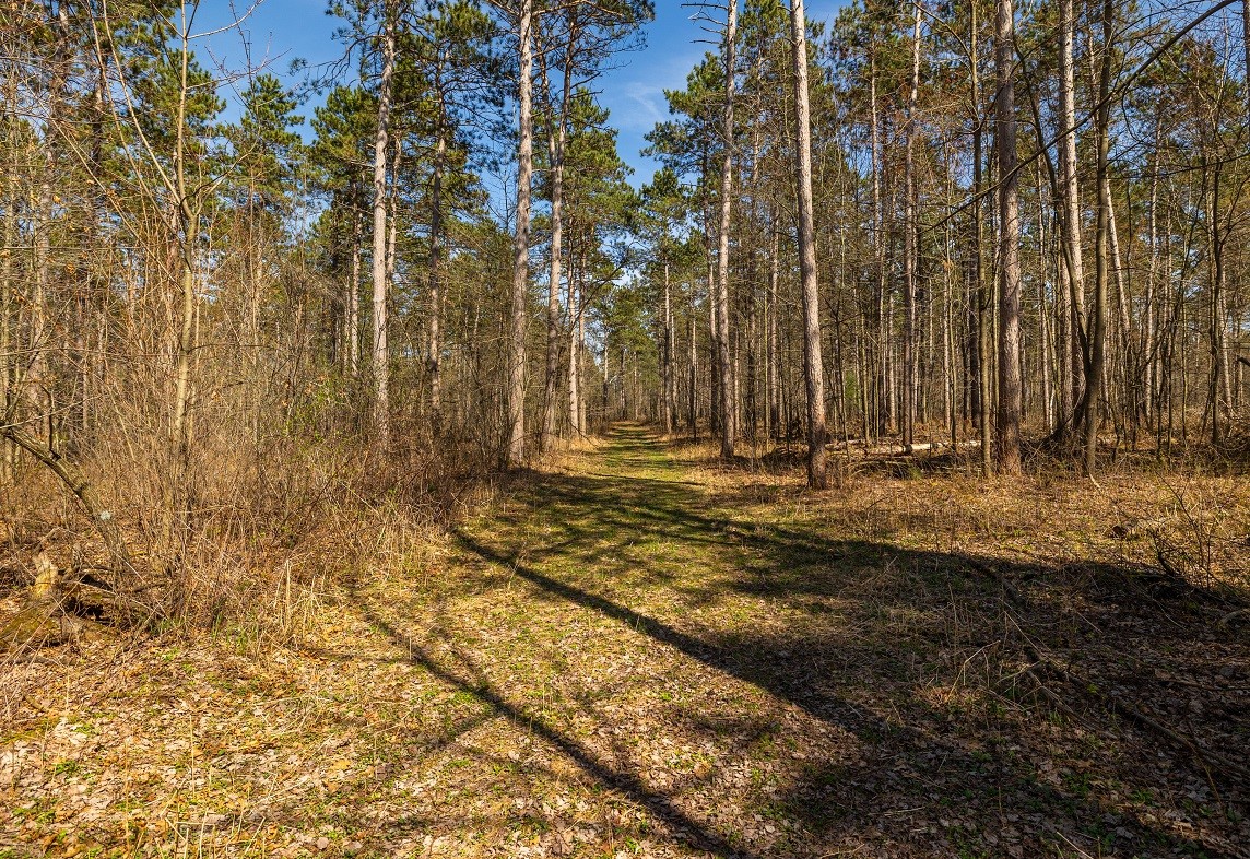 Land at 0 Prairie Road, Osseo, WI 54758 — photo 23