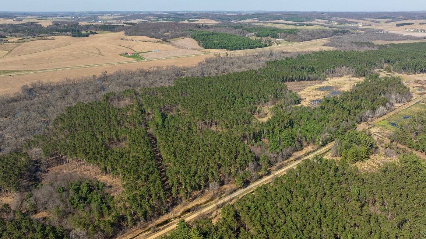 Land at 0 Prairie Road, Osseo, WI 54758 — photo 23