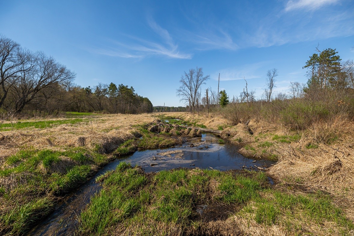 Land at 0 Prairie Road, Osseo, WI 54758 — photo 24