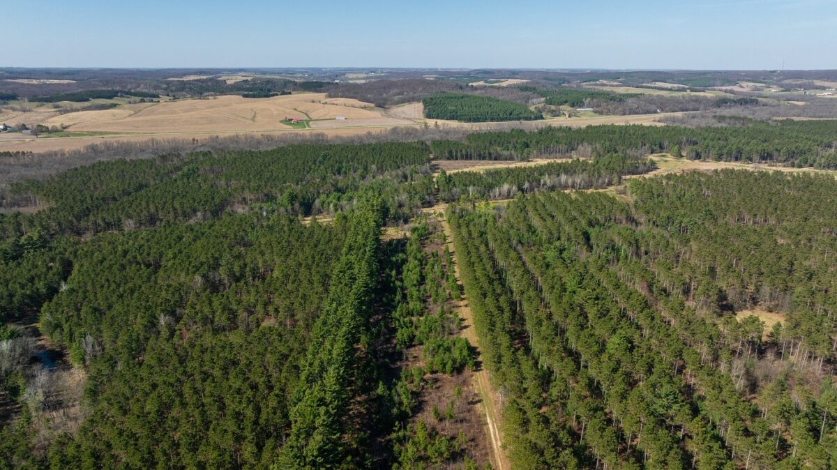 Land at 0 Prairie Road, Osseo, WI 54758 — photo 24