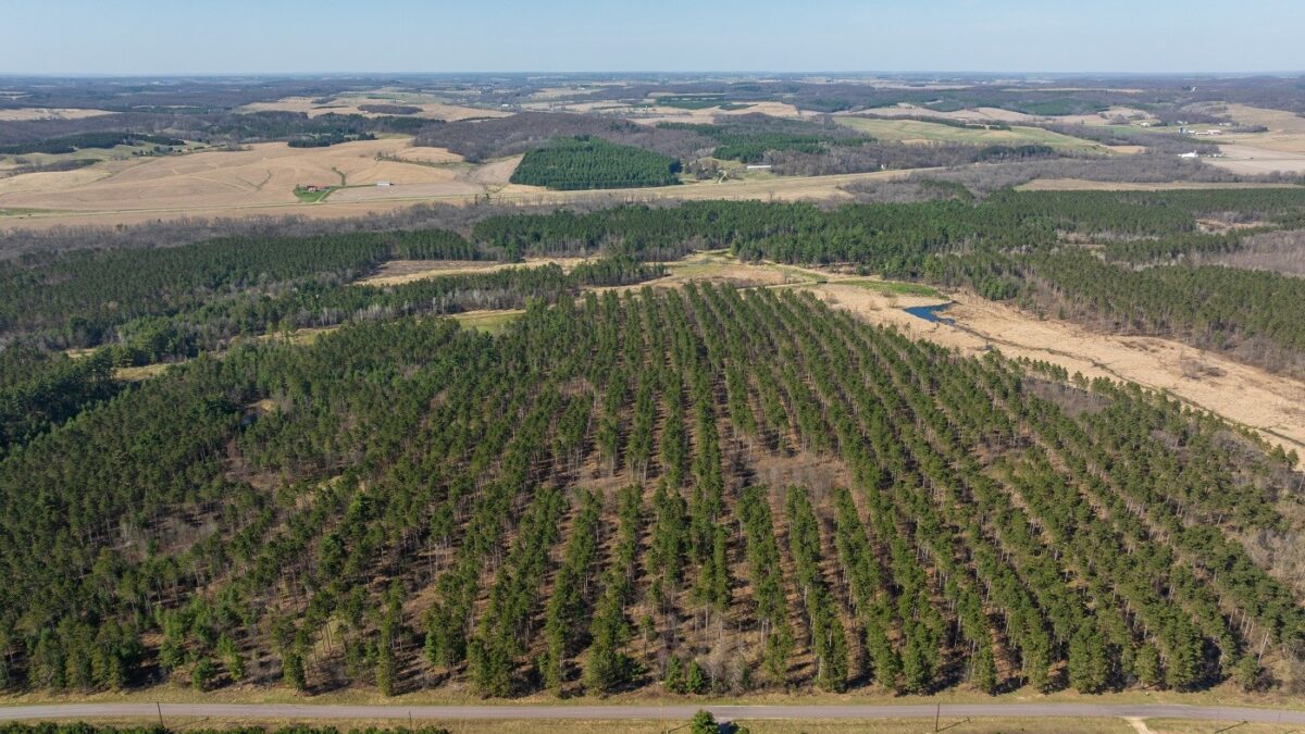 Land at 0 Prairie Road, Osseo, WI 54758 — photo 25