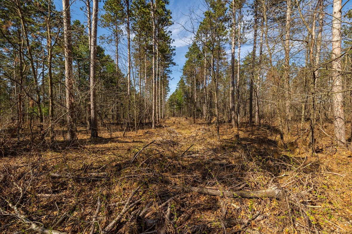 Land at 0 Prairie Road, Osseo, WI 54758 — photo 25