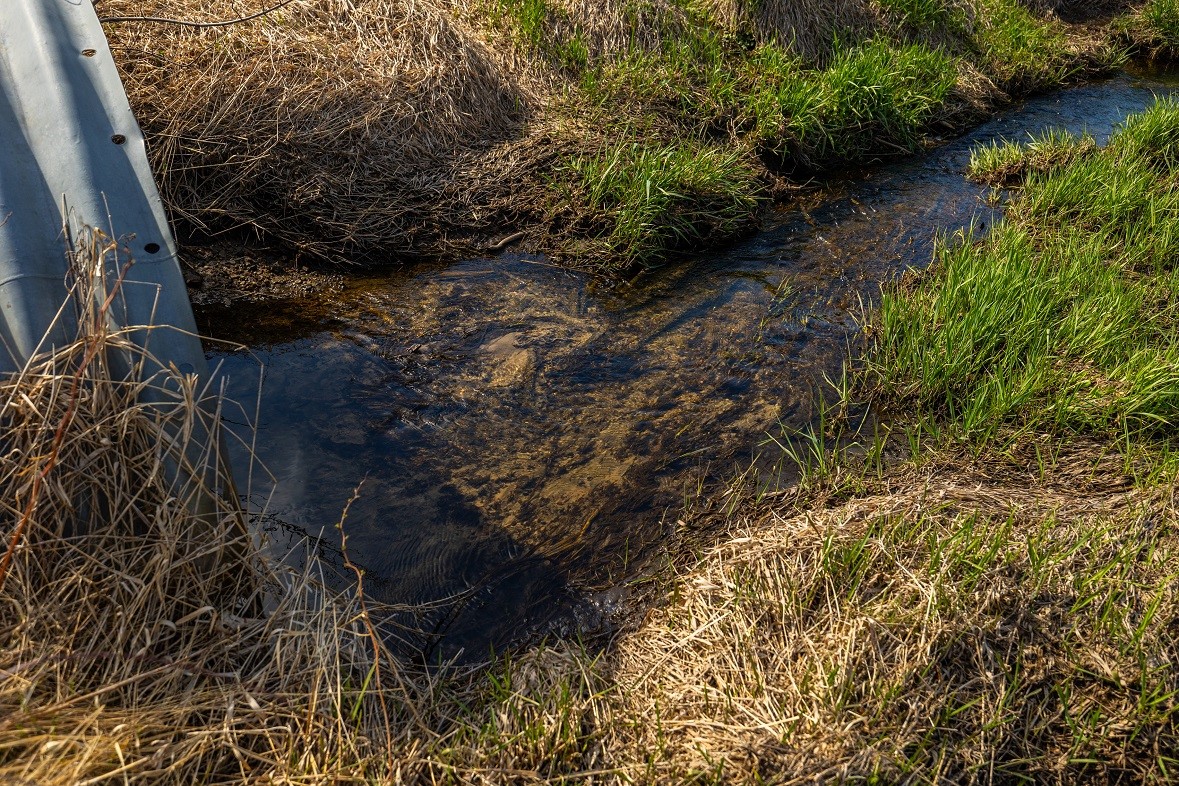 Land at 0 Prairie Road, Osseo, WI 54758 — photo 26