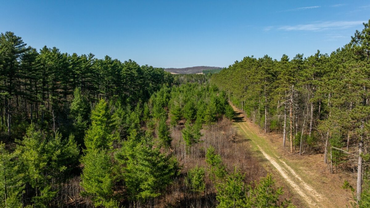 Land at 0 Prairie Road, Osseo, WI 54758 — photo 27