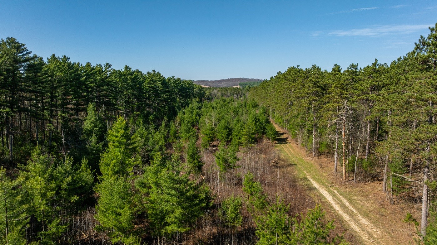 Land at 0 Prairie Road, Osseo, WI 54758 — photo 27