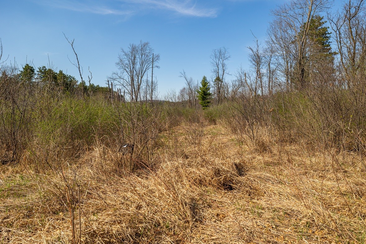 Land at 0 Prairie Road, Osseo, WI 54758 — photo 27