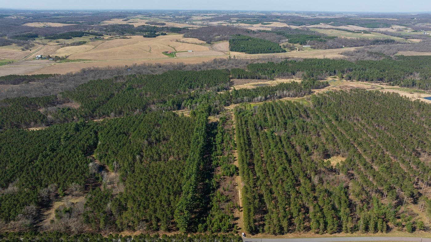 Land at 0 Prairie Road, Osseo, WI 54758 — photo 28