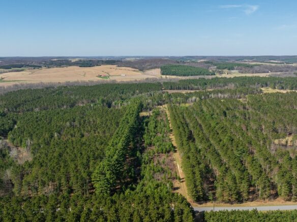 Land at 0 Prairie Road, Osseo, WI 54758 — photo 1