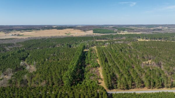 Land at 0 Prairie Road, Osseo, WI 54758 — photo 1