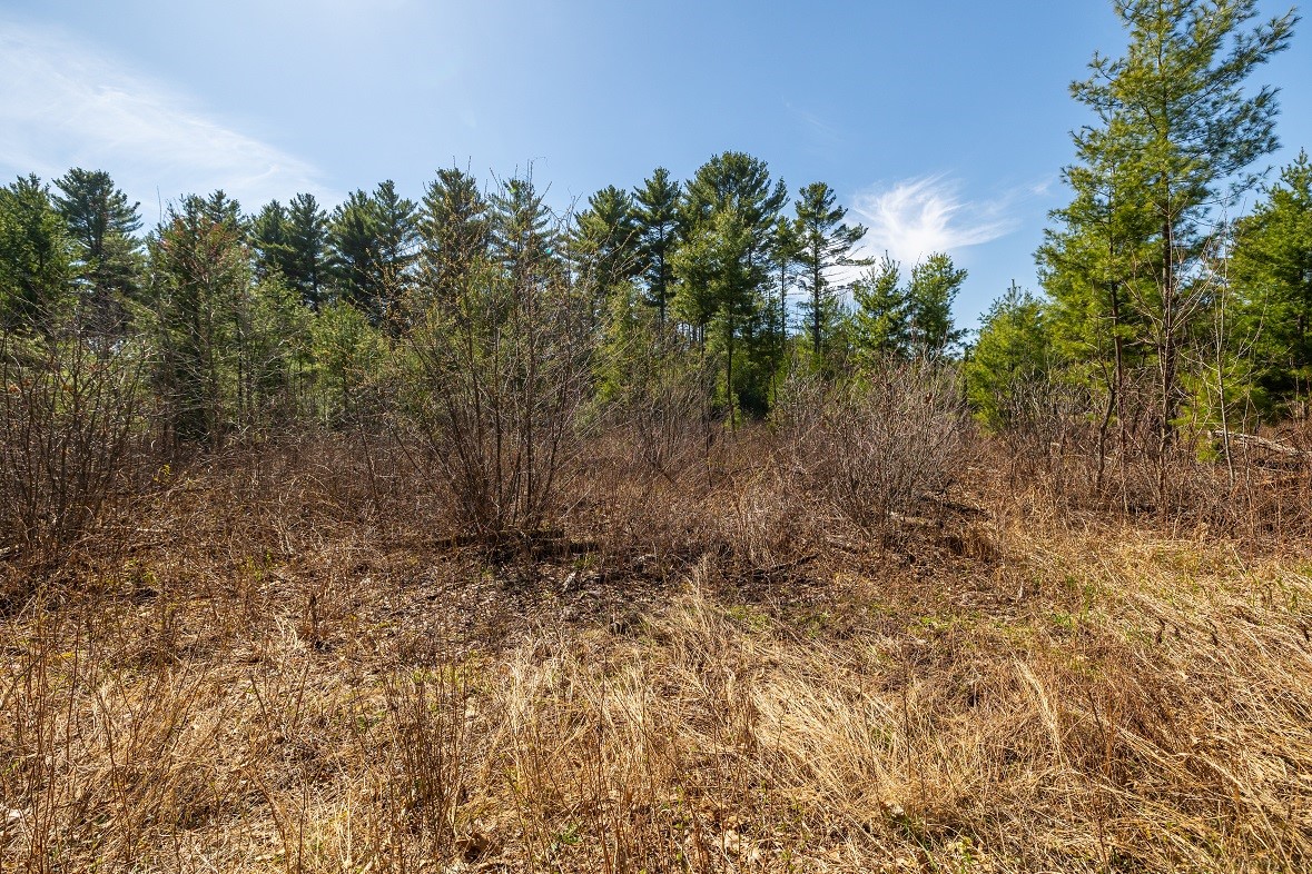 Land at 0 Prairie Road, Osseo, WI 54758 — photo 4