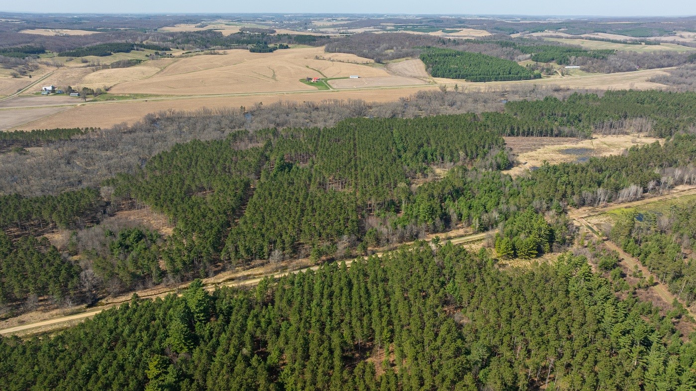 Land at 0 Prairie Road, Osseo, WI 54758 — photo 4