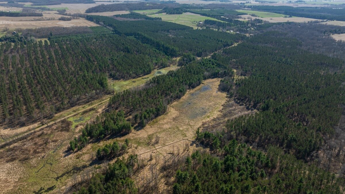 Land at 0 Prairie Road, Osseo, WI 54758 — photo 5