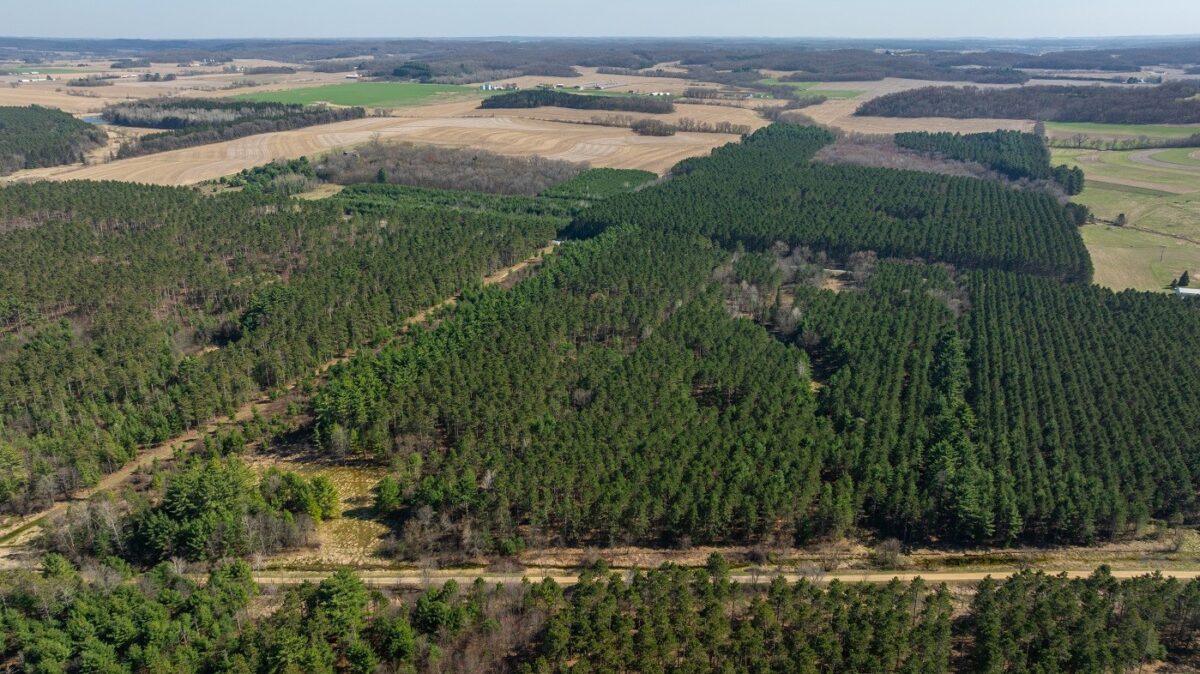 Land at 0 Prairie Road, Osseo, WI 54758 — photo 5