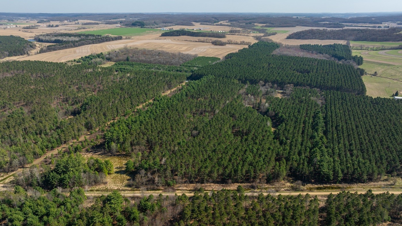 Land at 0 Prairie Road, Osseo, WI 54758 — photo 5