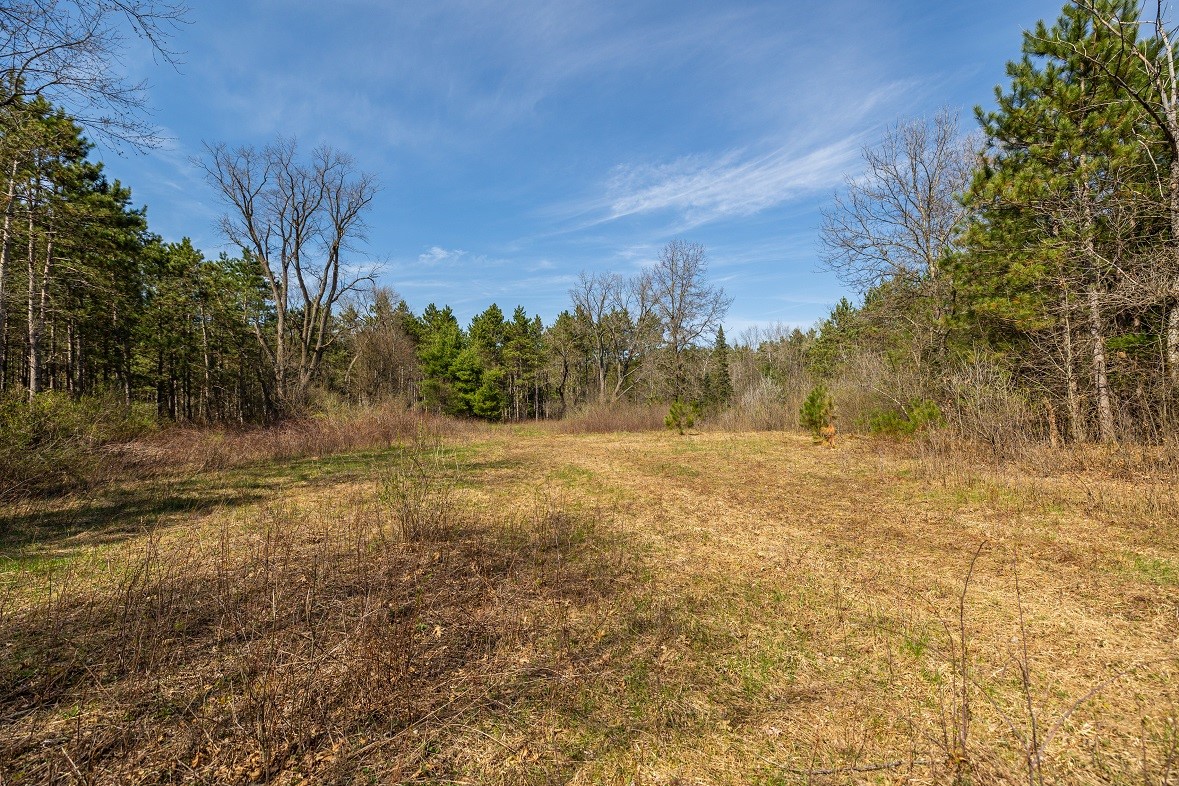 Land at 0 Prairie Road, Osseo, WI 54758 — photo 5