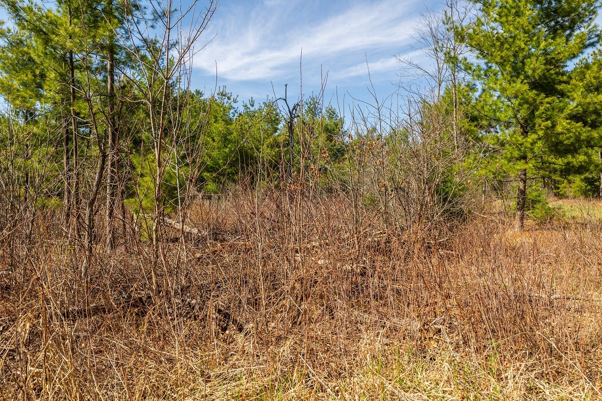 Land at 0 Prairie Road, Osseo, WI 54758 — photo 6