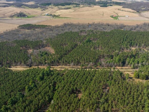 Land at 0 Prairie Road, Osseo, WI 54758 — photo 1