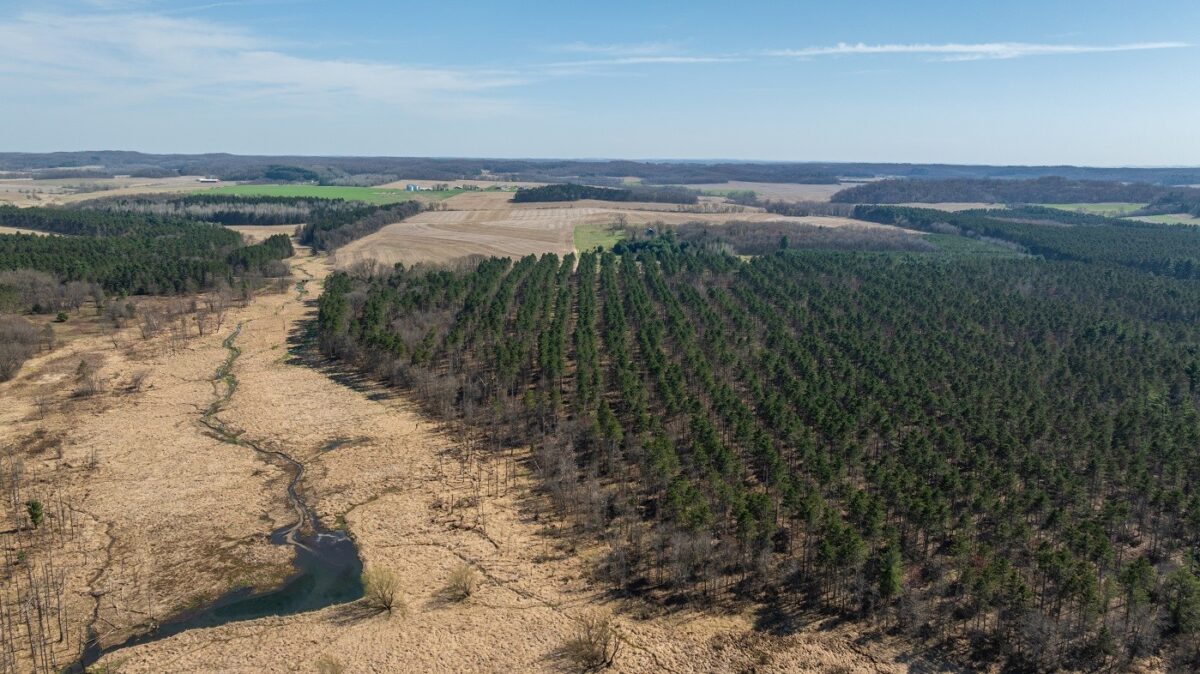 Land at 0 Prairie Road, Osseo, WI 54758 — photo 7