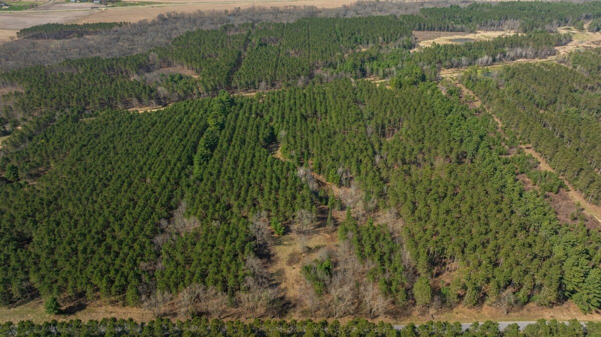 Land at 0 Prairie Road, Osseo, WI 54758 — photo 7