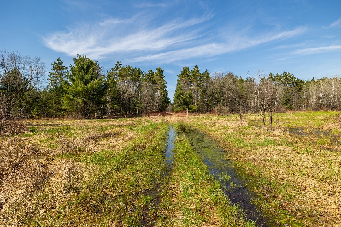 Land at 0 Prairie Road, Osseo, WI 54758 — photo 7