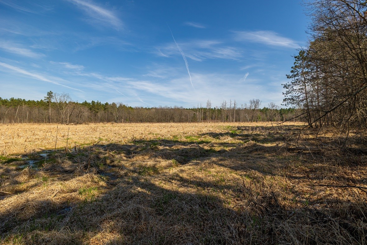 Land at 0 Prairie Road, Osseo, WI 54758 — photo 8