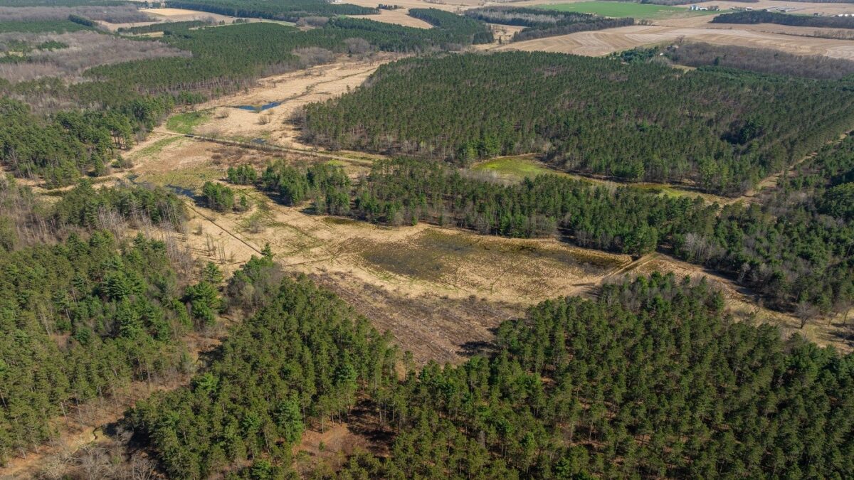 Land at 0 Prairie Road, Osseo, WI 54758 — photo 8