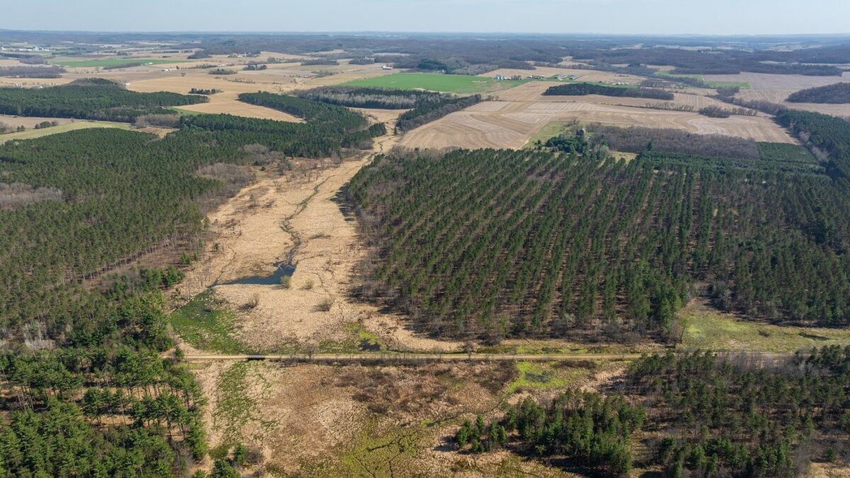 Land at 0 Prairie Road, Osseo, WI 54758 — photo 9