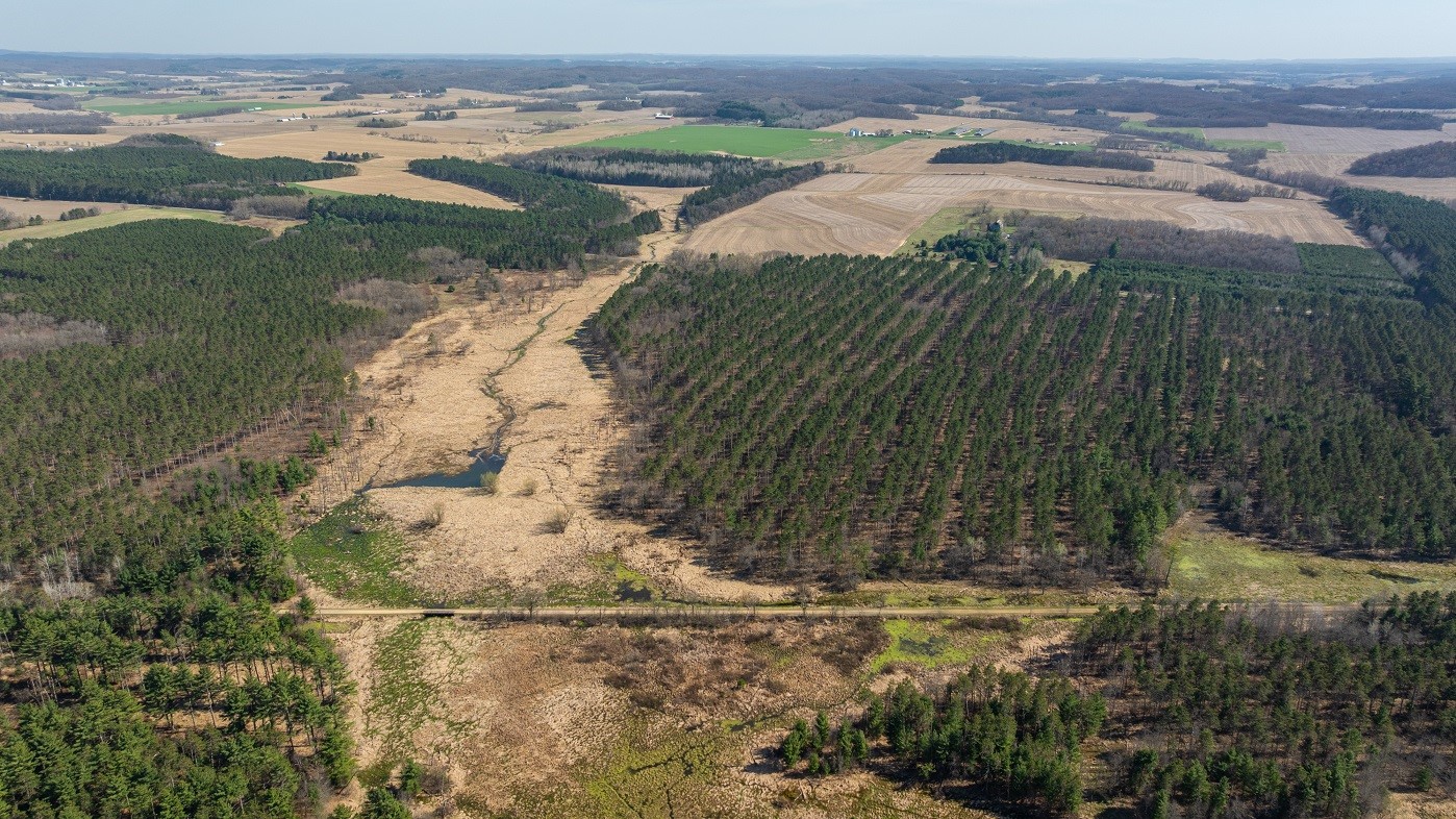 Land at 0 Prairie Road, Osseo, WI 54758 — photo 9