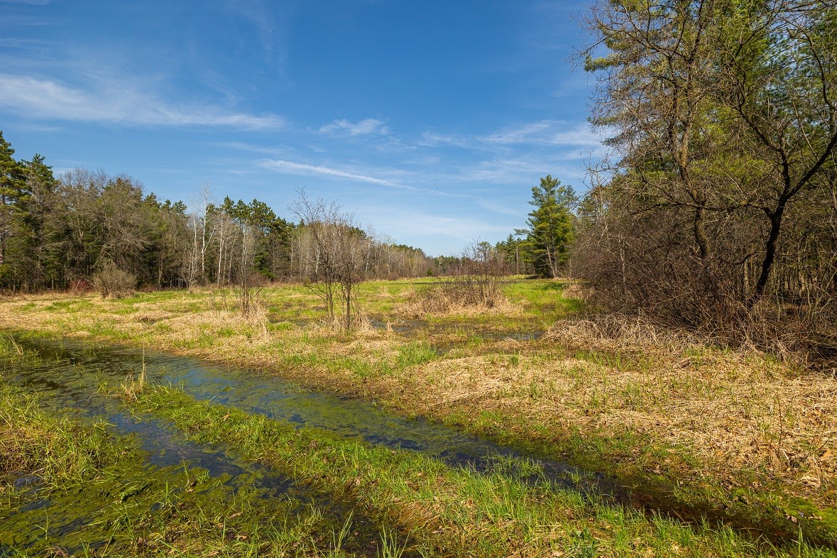 Land at 0 Prairie Road, Osseo, WI 54758 — photo 9