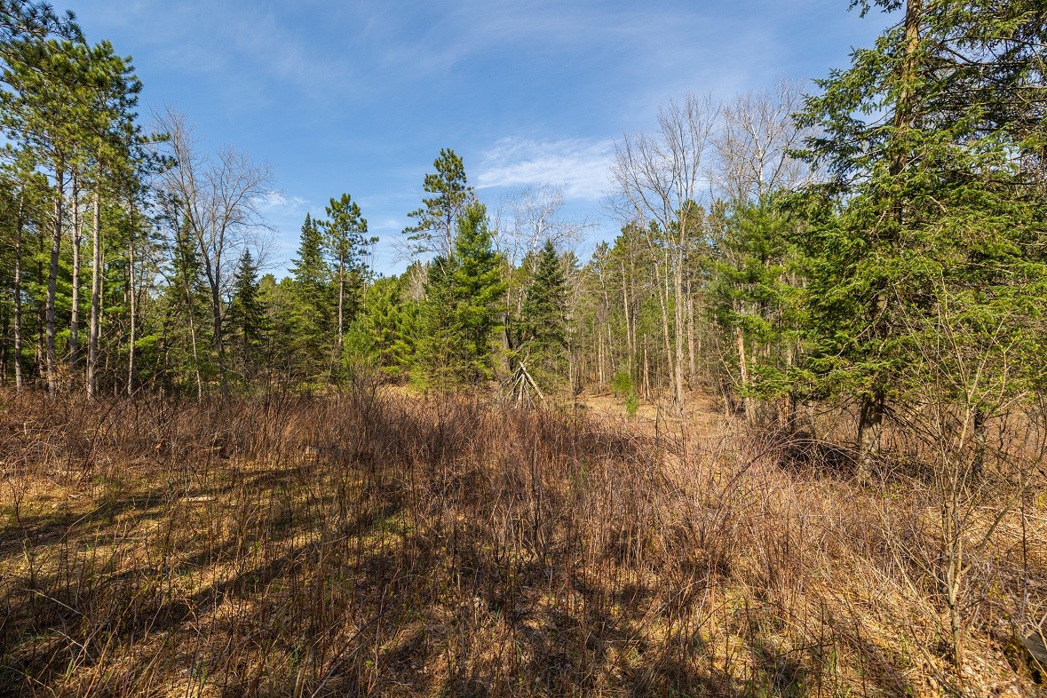 Land at 0 Prairie Road, Osseo, WI 54758 — photo 9