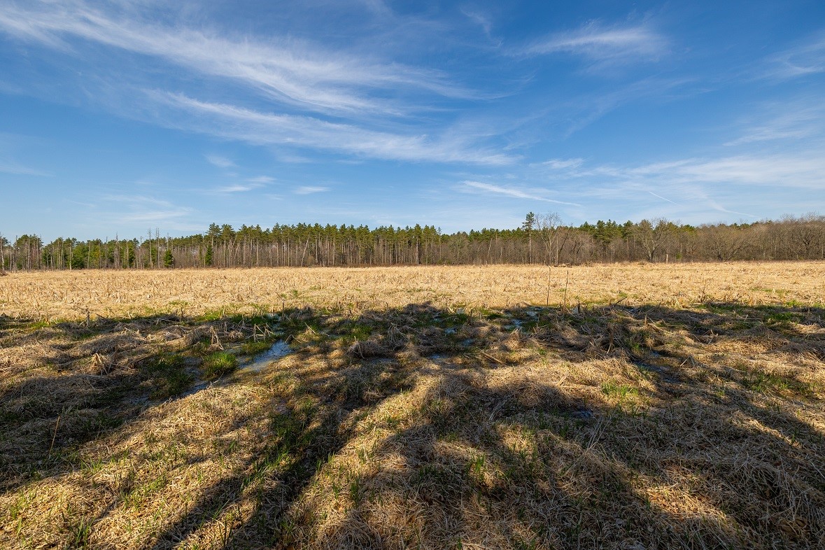 Land at 0 Prairie Road, Osseo, WI 54758 — photo 10