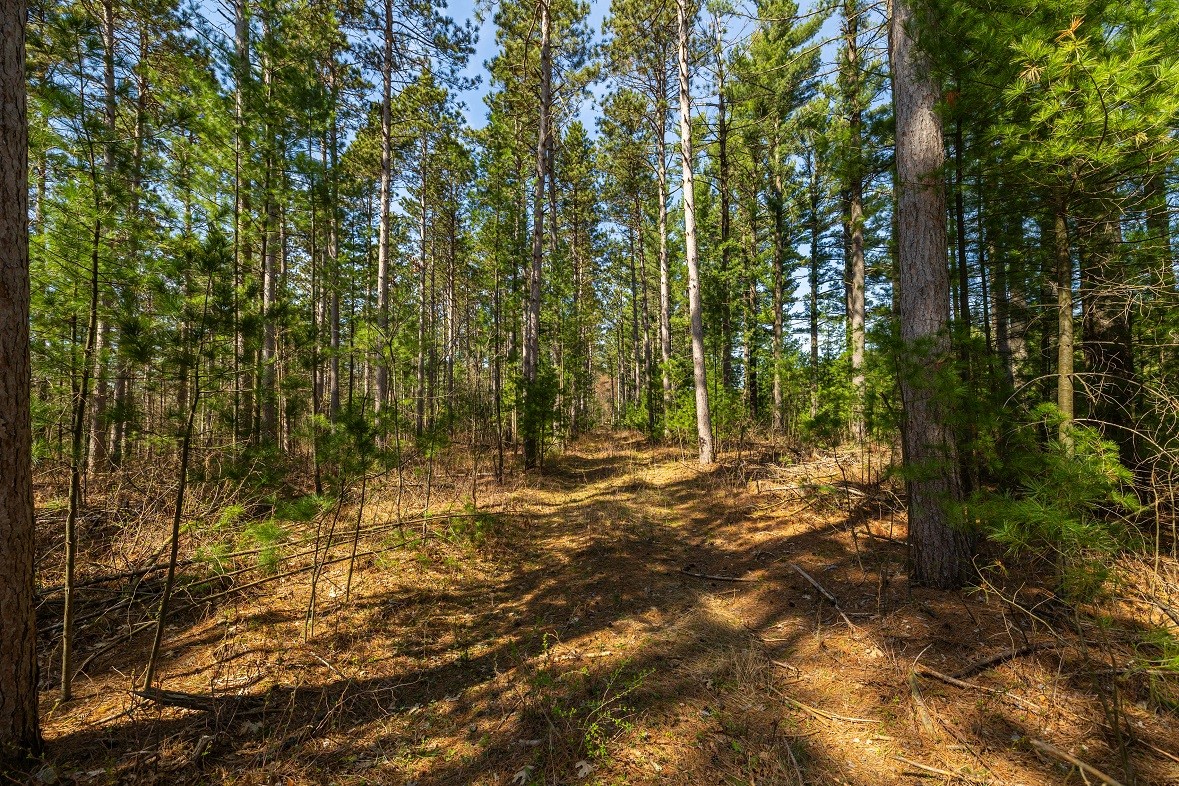 Land at 0 Prairie Road, Osseo, WI 54758 — photo 10