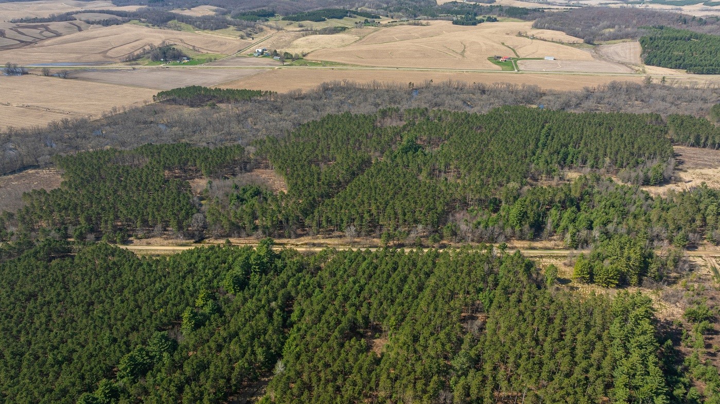 Land at 0 Prairie Road, Osseo, WI 54758 — photo 1