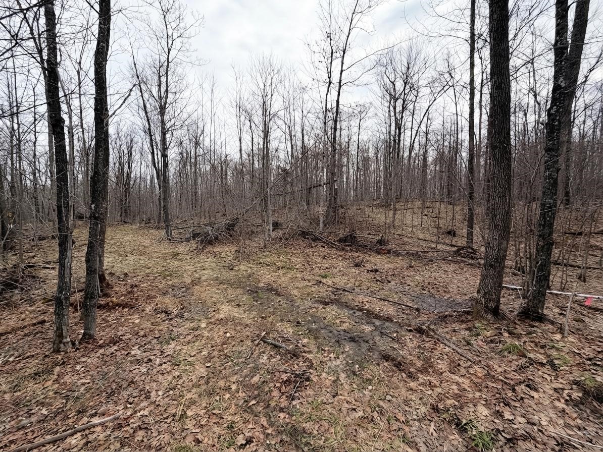 Land at 0 State Highway 48, Birchwood, WI 54817 — photo 3